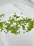 Color-Moti Light Olive-20G