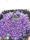 Indian Small Sequins Bowl-10G