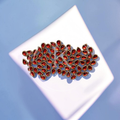 Reddish Maroon Crystal Drop Kundan-10G