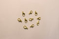 Lobster Lock-10 Pcs