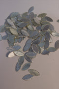 Applique Gotta Silver Leaves -5g