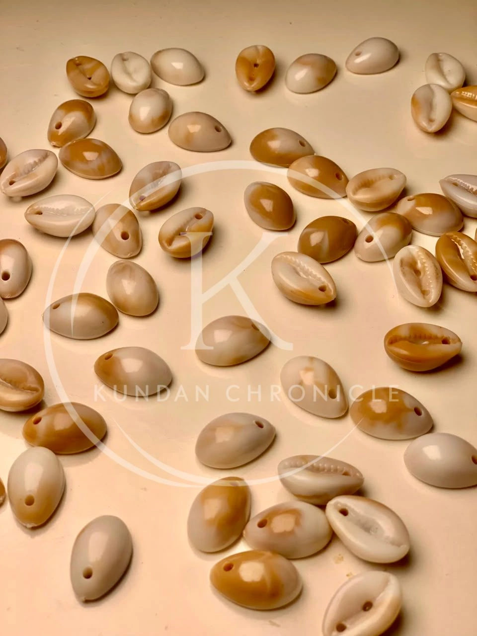 Plastic Shells-12pcs
